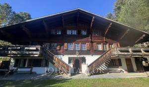 Alquiler Chalet Schönried