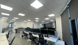 Alquiler Oficina Limassol