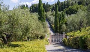 Alquiler Piso Firenze