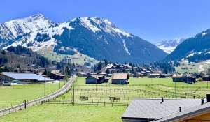 Alquiler Piso Gstaad