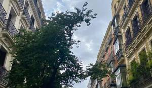 Alquiler Piso Madrid