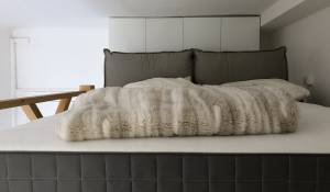 Alquiler Piso Monaco