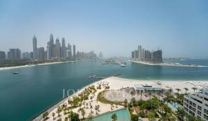 Alquiler Piso Palm Jumeirah