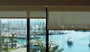 Alquiler Piso Palma de Mallorca