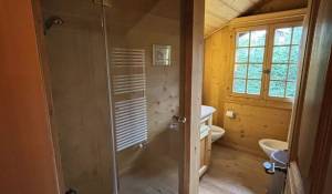 Alquiler por temporada Chalet Gstaad