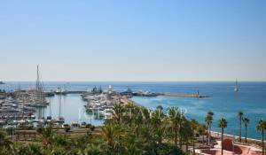 Alquiler por temporada Piso Cannes