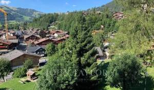 Alquiler por temporada Piso Gstaad