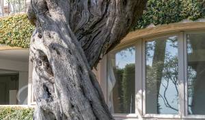 Alquiler por temporada Villa La Colle-sur-Loup