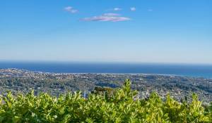 Alquiler por temporada Villa Vence