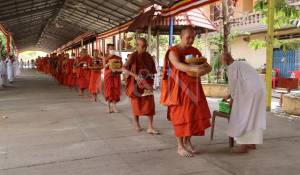 Alquiler Yate de motor 