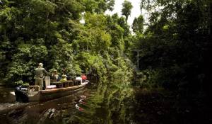 Alquiler Yate de motor 