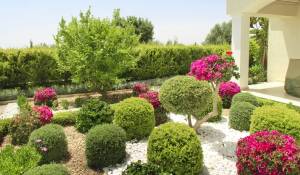 Nueva construcción Conjunto inmobiliario Paphos