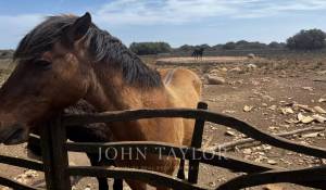 Venta Bed and breakfast Mahón