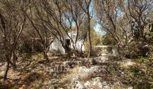 Venta Bed and breakfast Mahón