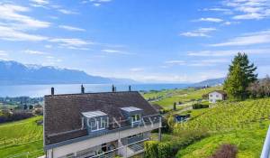 Venta Casa adosada Blonay-Saint-Légier