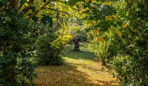 Venta Casa Aix-en-Provence