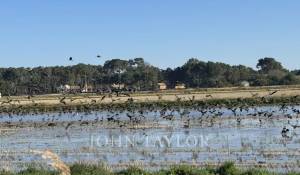 Venta Casa Carvalhal