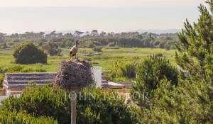 Venta Casa Carvalhal