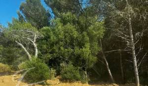 Venta Casa Cascais e Estoril