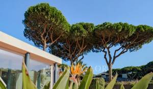 Venta Casa Cascais e Estoril