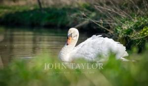 Venta Casa Chantilly