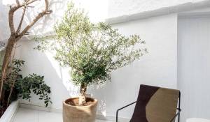 Venta Casa Ciutadella de Menorca