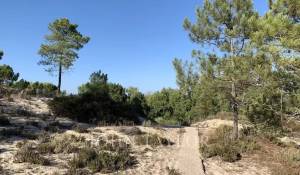 Venta Casa Comporta