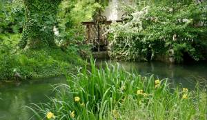 Venta Casa de campo L'Isle-sur-la-Sorgue