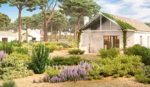 Venta Casa Grândola e Santa Margarida da Serra