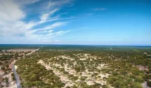 Venta Casa Grândola e Santa Margarida da Serra