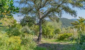 Venta Casa Les Adrets-de-l'Estérel