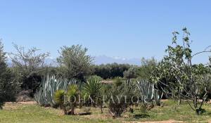 Venta Casa Marrakech