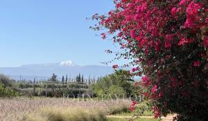 Venta Casa Marrakech