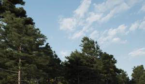 Venta Casa Roca Llisa