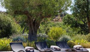 Venta Casa Roquefort-les-Pins