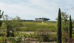 Venta Casa Sauternes