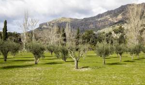 Venta Casa solariega Escorca