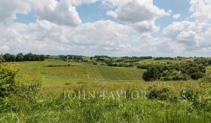 Venta Castillo Bordeaux