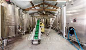 Venta Castillo Bordeaux