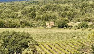 Venta Castillo Gordes