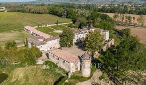Venta Castillo Langon