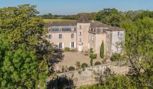 Venta Castillo Langon