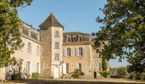 Venta Castillo Langon