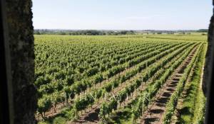 Venta Castillo Saint-Émilion