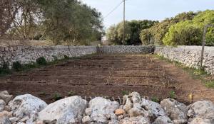 Venta Chalet Es Castell