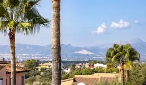 Venta Chalet Marratxi