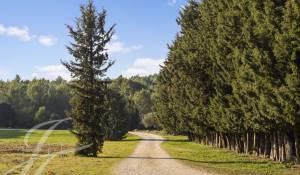 Venta Finca de equitación Barbentane