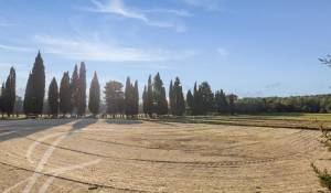 Venta Finca de equitación Barbentane