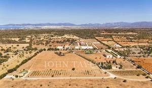 Venta Finca de equitación Llucmajor