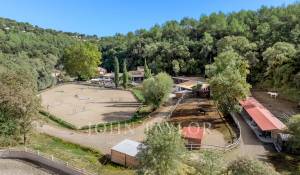 Venta Finca de equitación Valbonne